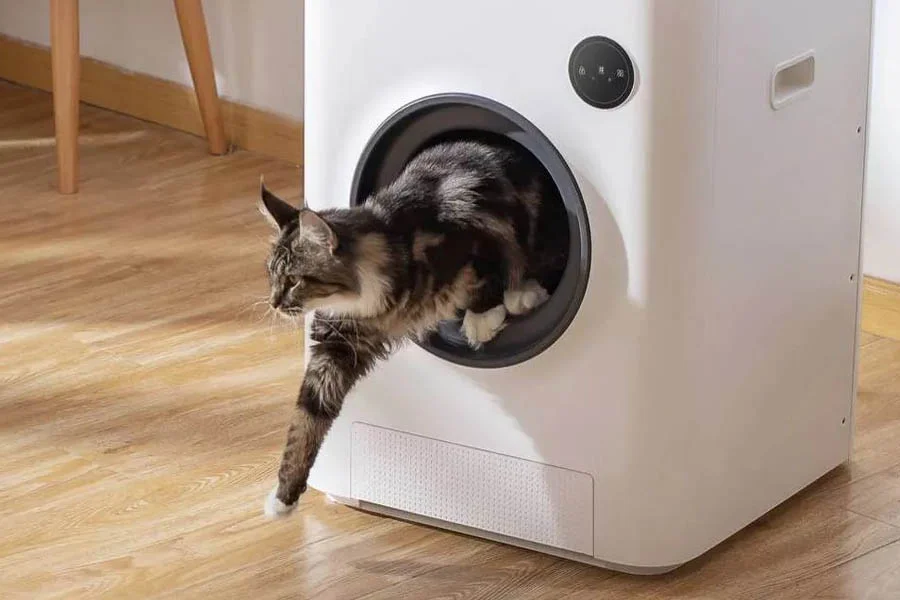 cat auto litter box