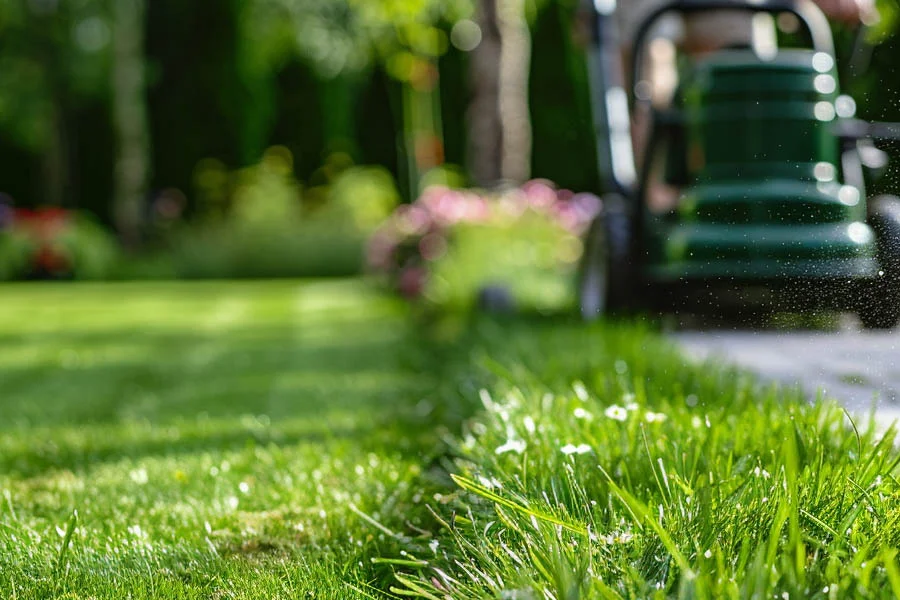 small electric mower